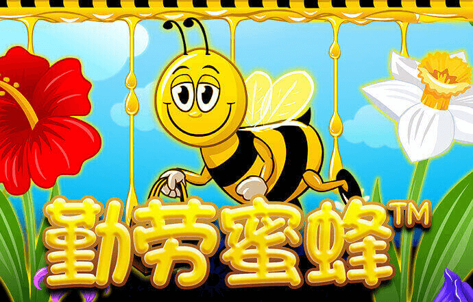 小鸟体育app下载入口官网